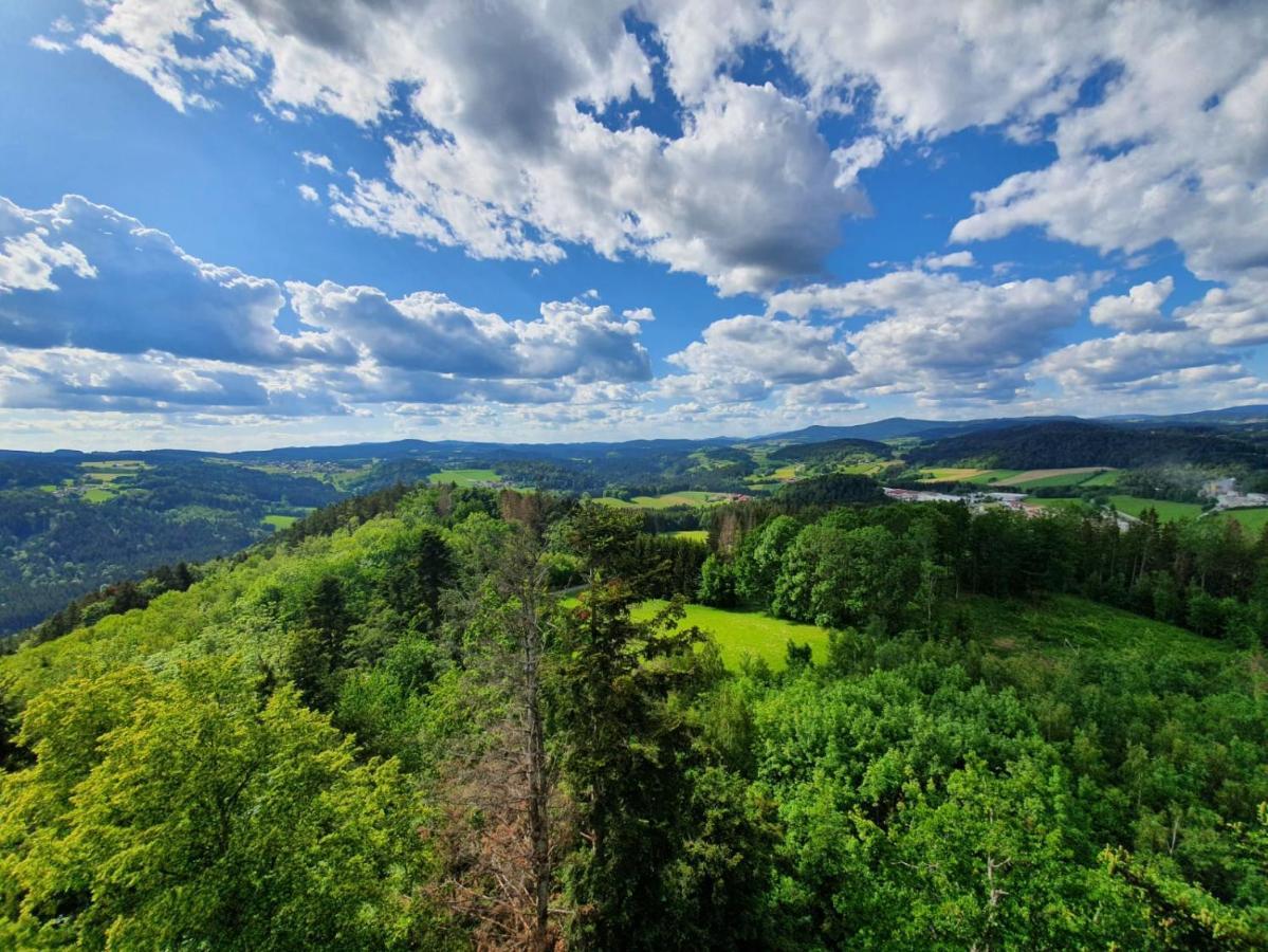 Haus Bergblick Appartamento Mauth Esterno foto